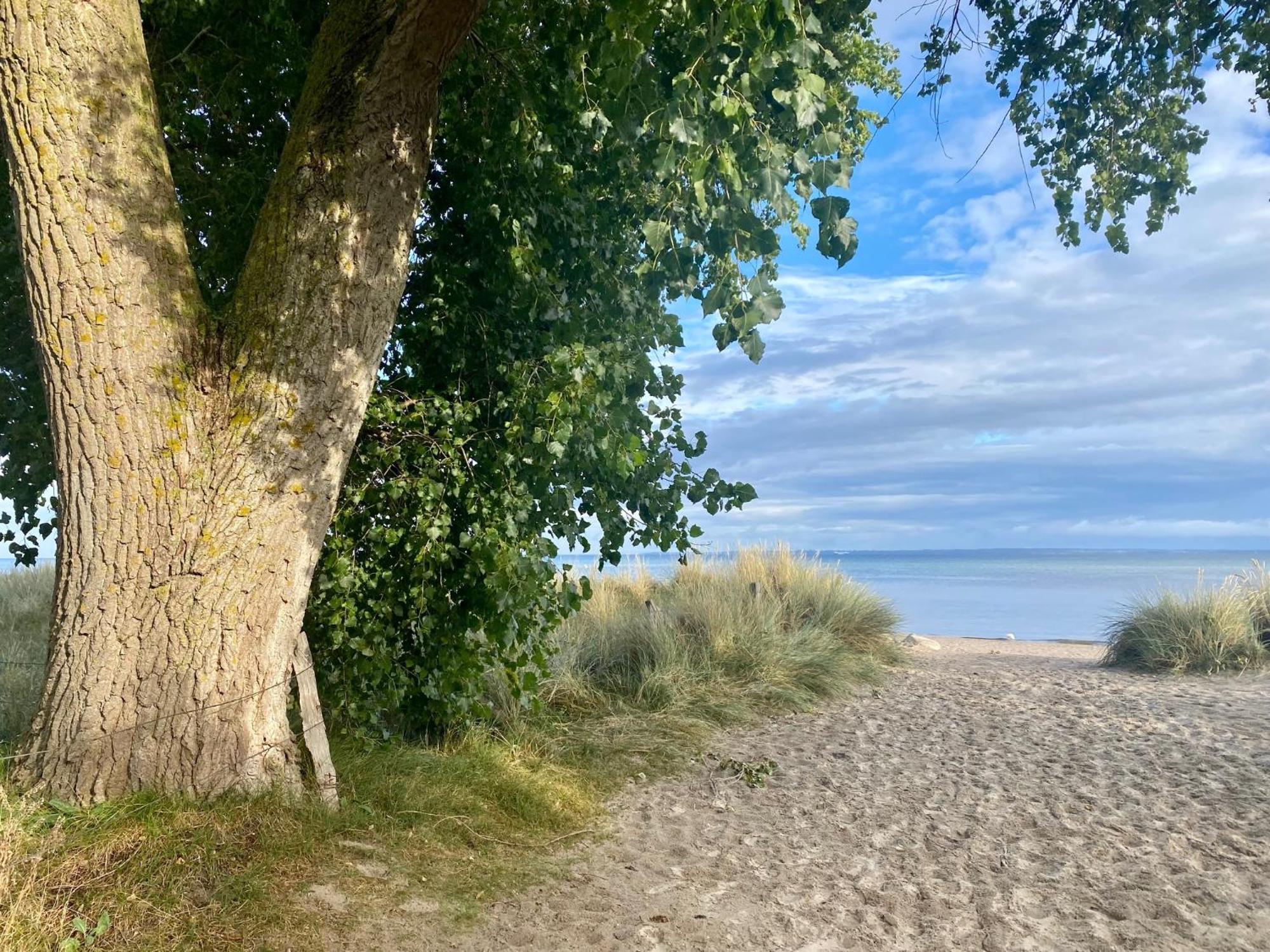 Feriendorf Suedstrand Haus 36 ペルツァーハケン エクステリア 写真